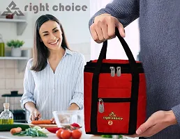 Right Choice Tiffin Box Carry Lunch Bag-thumb4