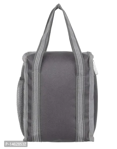 Right Choice Lunch Bags (Grey, Polyester)-thumb4