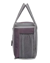 Right Choice Lunch Bags for School Office Tiffin Carry Bag (Brown Purple)-thumb1