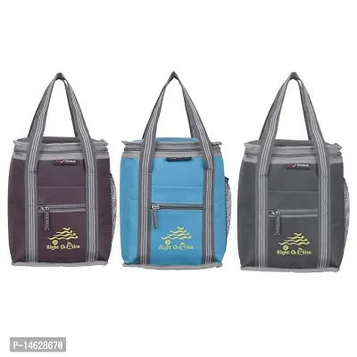 Right Choice Denim 3 Piece Combo All Age Lunch Bags Carry on School Office  Picnic Tiffin Bag. (Brown/Sky Blue/Grey)