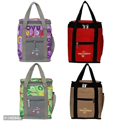 RIGHT CHOICE Combo Lunch Box Carry Bag Tiffin Carry for School Picnic Office for All Age