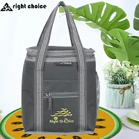 Hand Bag Lunch Bags Tiffin Bag Travel Lunch bags for Women  Men-thumb3