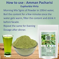 neotea Amman Pacharisi (Euphorbia Hirta) Powder, 300 g-thumb3