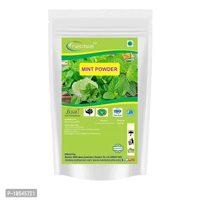 Mint Leaf Powder, 300 gm