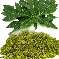 Neotea Papaya Leaf Powder I 100% Natural  Organic 300 gm-thumb1