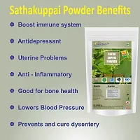 Neotea Sathakuppai Pencedanum Grande Powder 300 gm-thumb3