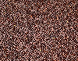 Neotea Brown Sarson Mustard Kadugu Seeds, 300 G-thumb1