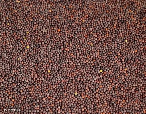 Neotea Brown Sarson Mustard Kadugu Seeds, 300 G-thumb2