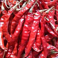 Neotea Hot Dried Red Chilli - Premium Guntur Sannam Chilli- Whole Spices 250gm-thumb1