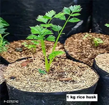 Rice Husk/Hulls 100% PureOrganic (1 KG)