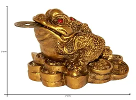 Three Legged Frog With Coin For Wealth And Happiness Decorative Showpiece - 5 cm-thumb2