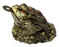 Jumbo Size Three Legged Frog with Coin for Wealth and Happiness Decorative Showpiece - 9 Cm-thumb1