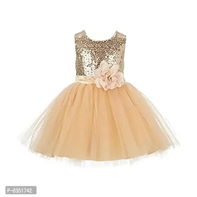 Wish littlle Baby Girl's Golden Sequined/Net A-Line Fit and Flare Dress/Frock (WLT-1053_Kidswear)