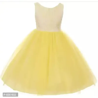 Wish littlle Baby Girl's Yellow Flower Net A-Line Fit and Flare Knee Length Dress (WLT-1093_Kidswear)