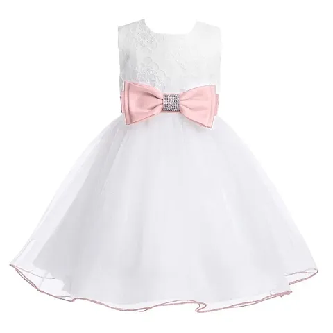 Wish littlle Baby Girl's White Flower Net A-Line Fit and Flare Knee Length Dress (WLT-206_Kidswear)