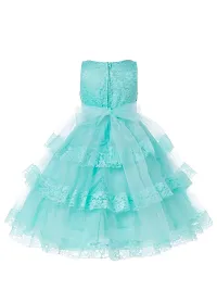 Ripening Baby Girls Flower Net Multicolor Maxi Dress-thumb1