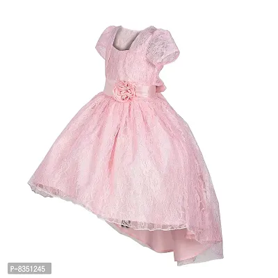 Ripening Baby Girls Baby Girl's Net Fit & Flare Maxi Dress (Baby Pink, 9-10 Years)-thumb3