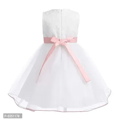 Wish littlle Baby Girl's White Flower Net A-Line Fit and Flare Knee Length Dress (WLT-206_Kidswear)-thumb2