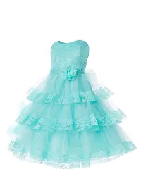 Ripening Baby Girls Flower Net Multicolor Maxi Dress-thumb2