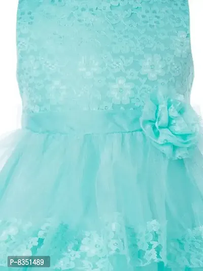 Ripening Baby Girls Flower Net Multicolor Maxi Dress-thumb4