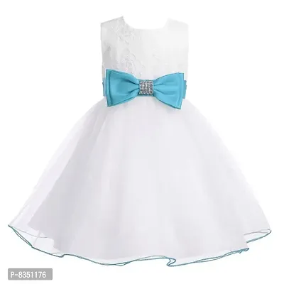 Wish littlle Baby Girl's White Flower Net A-Line Fit and Flare Knee Length Dress (WLT-206_Kidswear)