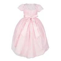 Ripening Baby Girls Baby Girl's Net Fit & Flare Maxi Dress (Baby Pink, 9-10 Years)-thumb1