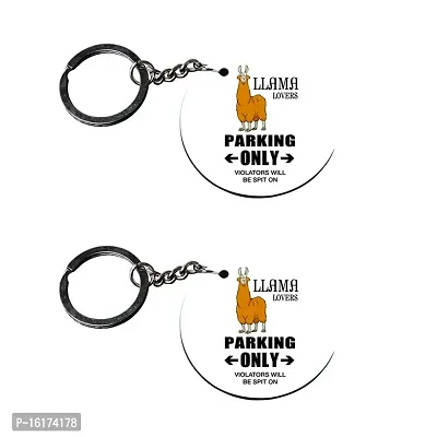 Xuv hot sale 500 keychain