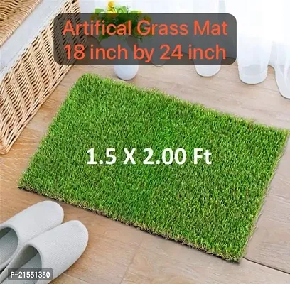 Reva Tex Premium Quality GRASS Mat (18 inch * 24 inch ) -- Pack Of 1-thumb0