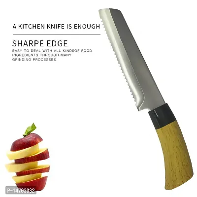 professional kitchen knife