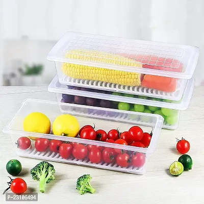 food storage container with removable drain plate and lid fridge