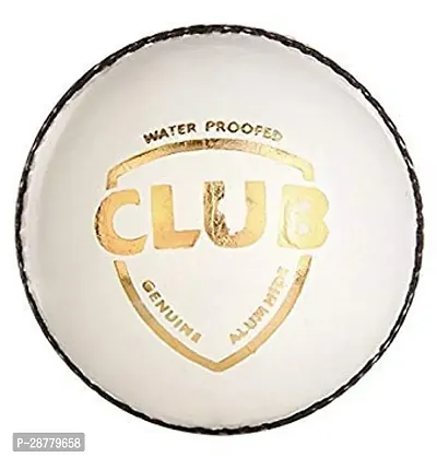 White Leather Cricket Ball (Pack of 1)-thumb0