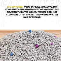 Nootie Premium Cat Litter: Super Absorbent, Environment Friendly, 99% Dust Free, 100% Natural Bentonite Clay, Pure Comfort, Easy Scoop, Gentle on Paws, No Odour (Pack of 1)-5KG (Lavender)-thumb3