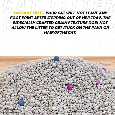 Nootie Premium Cat Litter: Super Absorbent, Environment Friendly, 99% Dust Free, 100% Natural Bentonite Clay, Pure Comfort, Easy Scoop, Gentle on Paws, No Odour (Pack of 1)-5KG (Lavender)-thumb4