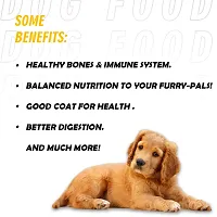 Nootie Freshly Wholesome Meal All Natural Wet Dog Food | Gluten Free I Non-Vegetarian Meal |Made With Real Chicken-300Gms Chicken Liver  Rice I Ready-To-Eat Fresh Dog Food, Adult-thumb1