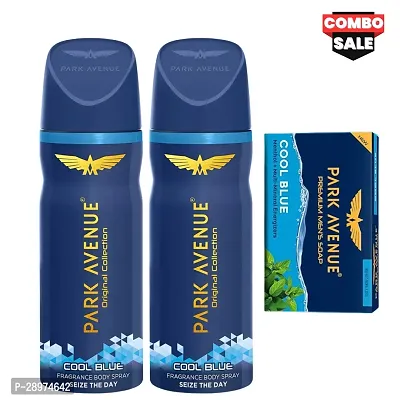 PARK AVENUE COOL BLUE Deodorant Body Spray (150ml x 2)  Cool Blue Soap (125gm) | For Mens (COMBO)