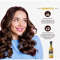 Park Avenue Anti hair Fall Beer Shampoo (180ml) | For Hair Fall Control with Hops, Barley, Proteins and Vit. B | For Mens (PC OF 1)-thumb4