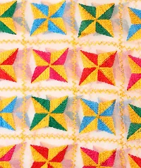 Chiffon phulkari dupatta-thumb2