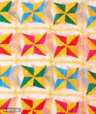 Chiffon phulkari dupatta-thumb3