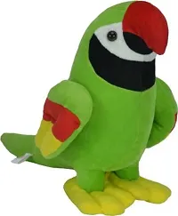 Plush Beautiful Buddy Parrot Soft Toy-15 CMS-thumb1