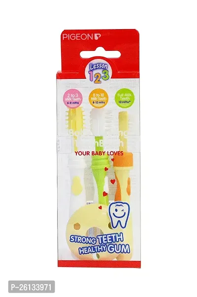 Pigeon Training Toothbrush Lession 123 Set (Multicolor)