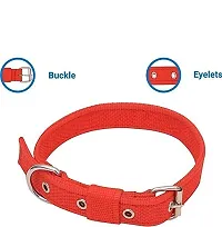 Dog Neck Collar Belts and Leash Set (Red Color, Waterproof, Medium, Nylon, Leash Size 1.5M-2M)-thumb1