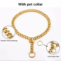 Fondle Dog Collar Chain, Brass Golden Chrome Plated I Dog Collar for Large  Medium Size Dogs I Length of Choke Chain I 3mm 18 Inch-thumb4