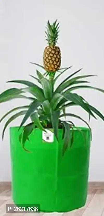 Stylish Pineapple Green Grow Bags For Plants Green Grow Bags For Plants