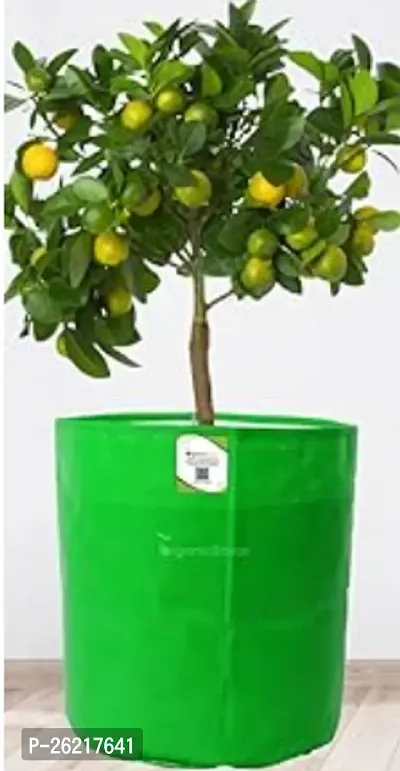 Stylish Lemon Green Grow Bags For Plants