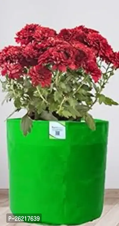 Stylish Flower Green Grow Bags For Plants