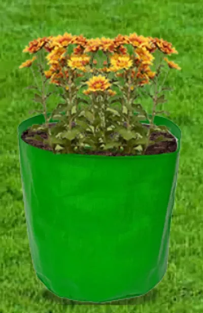 Hot Selling Plant & Planters 