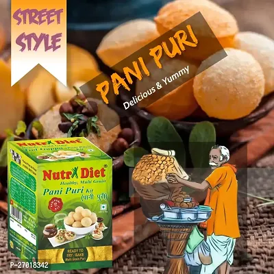 NUTRIDIET PANIPURI KIT (PACK OF 1)-thumb2