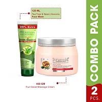 Aryanveda Tea Tree Face Wash With Neem & Aloe Vera Extracts, 120 Gm (Pack Of 2) (Tea Tree Face Wash + Fruit Salad Cream)-thumb1