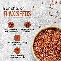 Flax seeds Rich in Omega 3 with Zinc and Protein for healthy life health supplements for weight management Brown Flax Seeds (Pack of 400gm)-thumb1