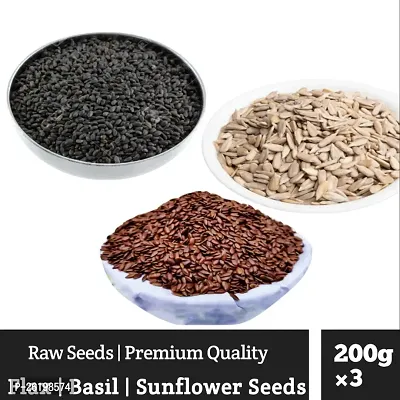 ruitzvilla Natural Raw Basil Seeds , Sunflower Seeds  Flax Seeds Combo 600 g (Pack of 3 Each 200gm ) 100% Organic